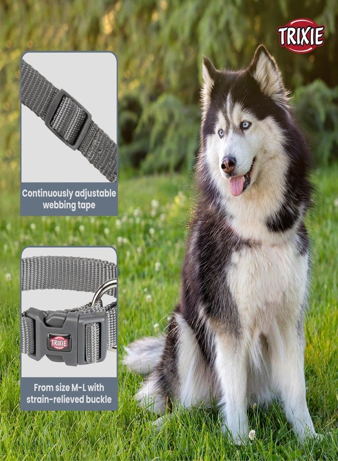 Trixie Premium Dog Collar, M-L: 35-55cm/ 20mm (Graphite) - Image 2